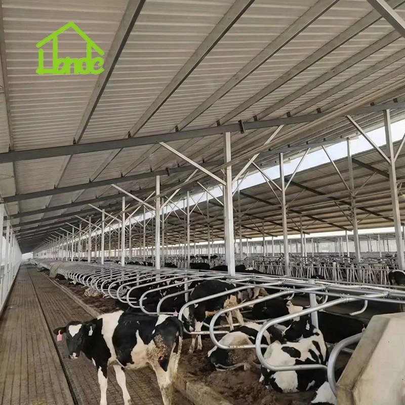4-Bend Cattle Freestall Loop Divider factory
